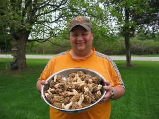 mushrooms1.jpg