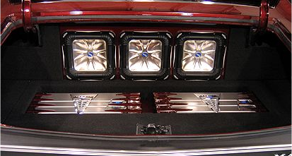 trunk.bmp